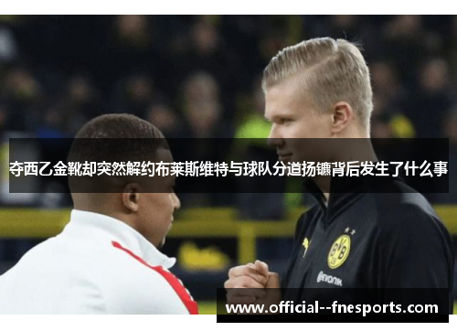 夺西乙金靴却突然解约布莱斯维特与球队分道扬镳背后发生了什么事 夺西乙金靴却突然解约布莱斯维特与球队分道扬镳背后发生了什么事