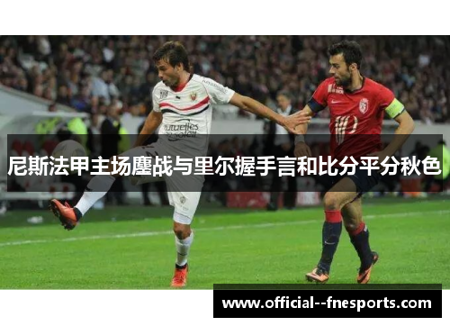 尼斯法甲主场鏖战与里尔握手言和比分平分秋色 尼斯法甲主场鏖战与里尔握手言和比分平分秋色