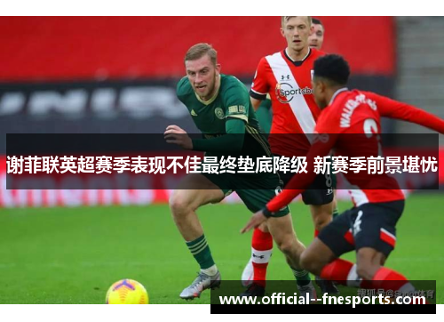 谢菲联英超赛季表现不佳最终垫底降级 新赛季前景堪忧